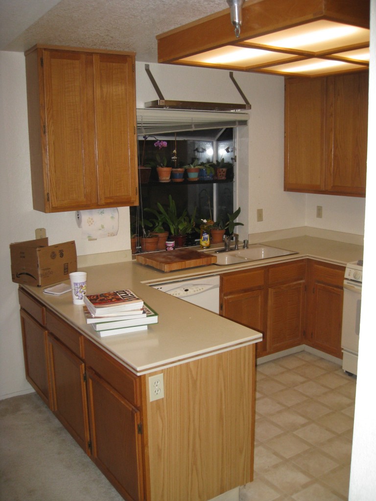 Here you can see the offending styles: floor, appliances, fluorescent light box, cabinets, counter top.