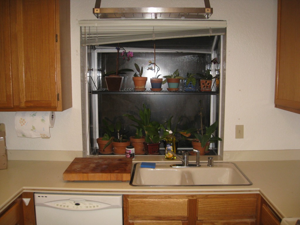 The existing design placed both the dishwasher and sink in front of the window which meant the sink lacked symmetry.